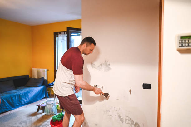 Best Mold Remediation for Schools in West Hammond, NM